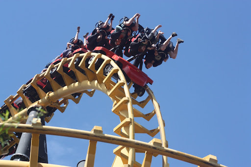 Being in the consulting trap can feel like being stuck on a rollercoaster.